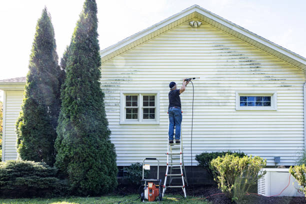 Best Driveway Pressure Washing  in Grove, OK